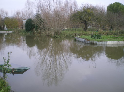 c0124619_4251489.jpg