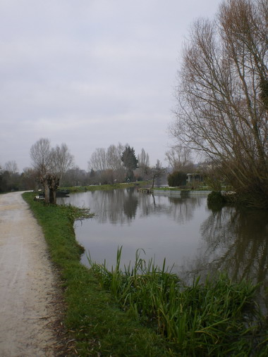 c0124619_426461.jpg