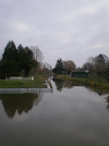 c0124619_4265389.jpg