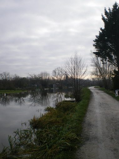 c0124619_4271556.jpg
