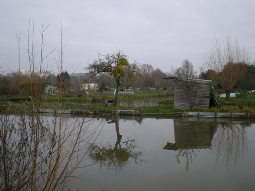 c0124619_4293211.jpg