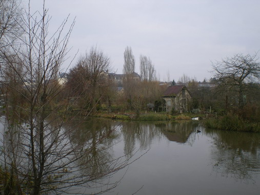 c0124619_4295456.jpg