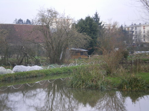 c0124619_4304198.jpg