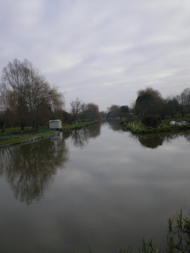 c0124619_4313134.jpg