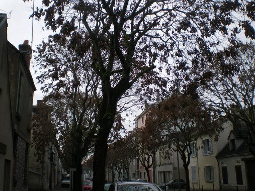 c0124619_4335727.jpg