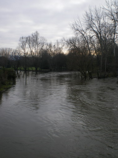 c0124619_4344865.jpg