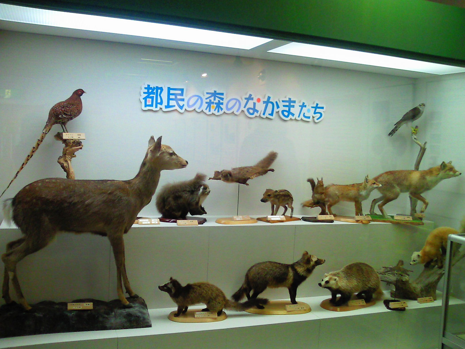 e0114823_21565767.jpg