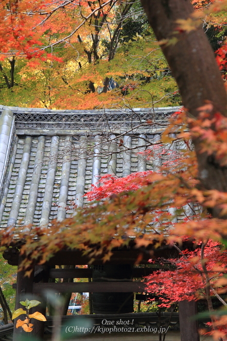 2010\'紅葉　西山　～十輪寺②～_c0200027_19483898.jpg