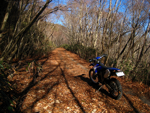 南いわき・北茨城林道ツーリング　（WR250F)_f0126932_22323098.jpg