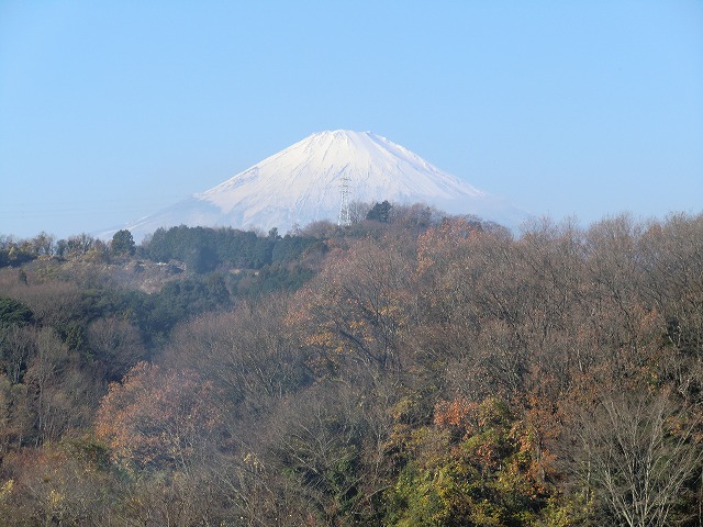 a0006033_1622826.jpg