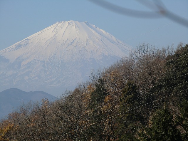 a0006033_1623863.jpg