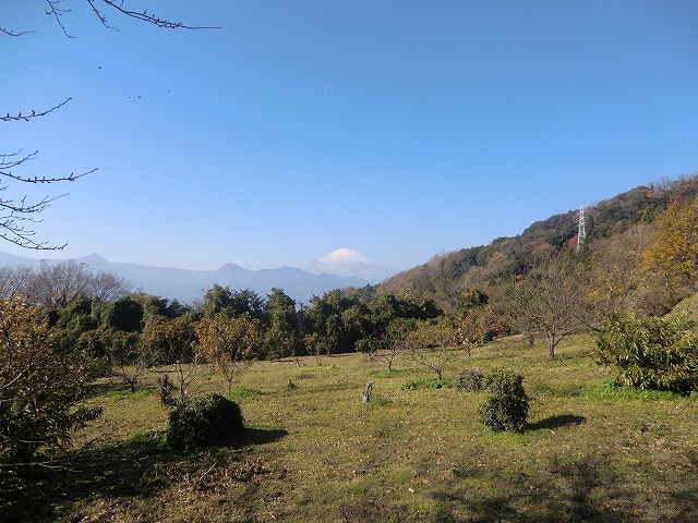 a0006033_1625110.jpg
