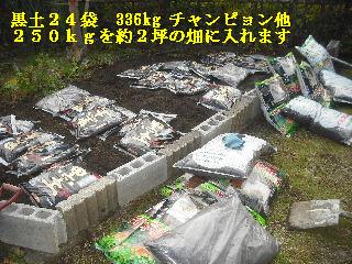 家庭菜園土作り_f0031037_14401139.jpg