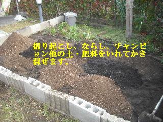 家庭菜園土作り_f0031037_14401871.jpg