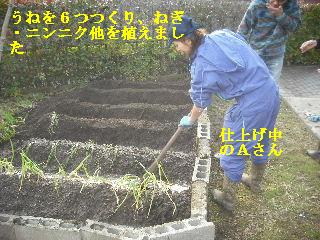 家庭菜園土作り_f0031037_14402644.jpg