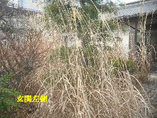 家庭菜園土作り_f0031037_14404782.jpg