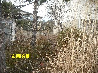 家庭菜園土作り_f0031037_14405344.jpg