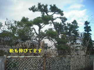 家庭菜園土作り_f0031037_14411956.jpg