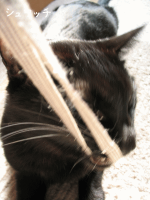 a0166338_22161637.gif