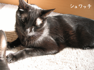 a0166338_22171050.gif