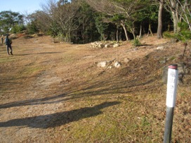 c0077338_21441433.jpg