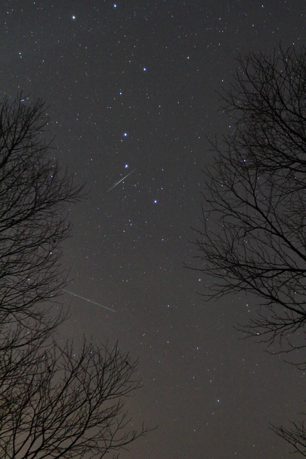 shooting star_b0184742_2261284.jpg