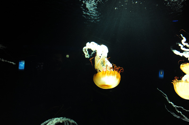 b0067346_16484943.jpg