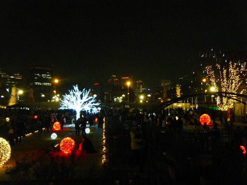 d0151746_16252278.jpg