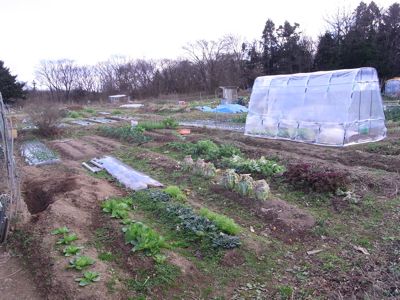 (いいかげんな)天地返し_c0063348_2225994.jpg