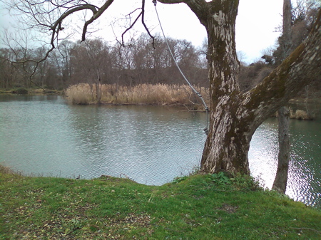 d0155148_2215014.jpg
