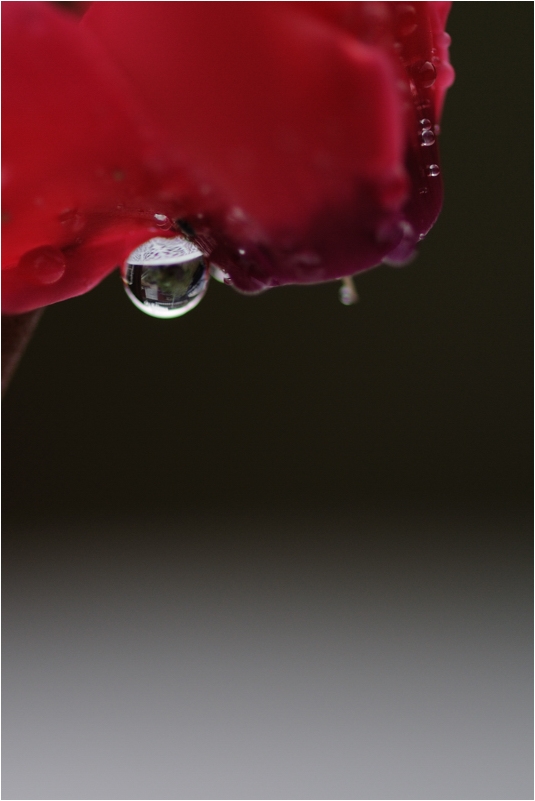 f0224648_642666.jpg