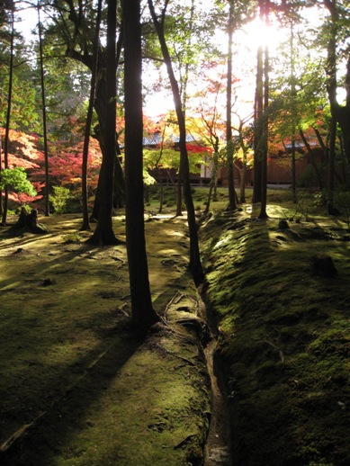 苔寺_f0013452_1433249.jpg