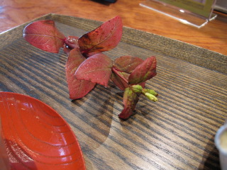 c0220154_1144549.jpg