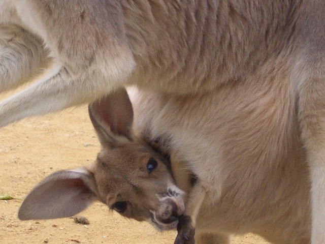 c0100859_22433256.jpg