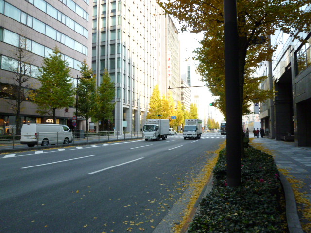 c0100865_9341859.jpg