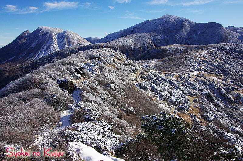 f0173067_1210942.jpg