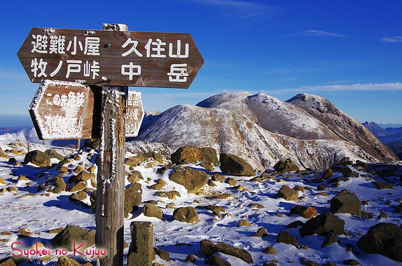 f0173067_1292483.jpg