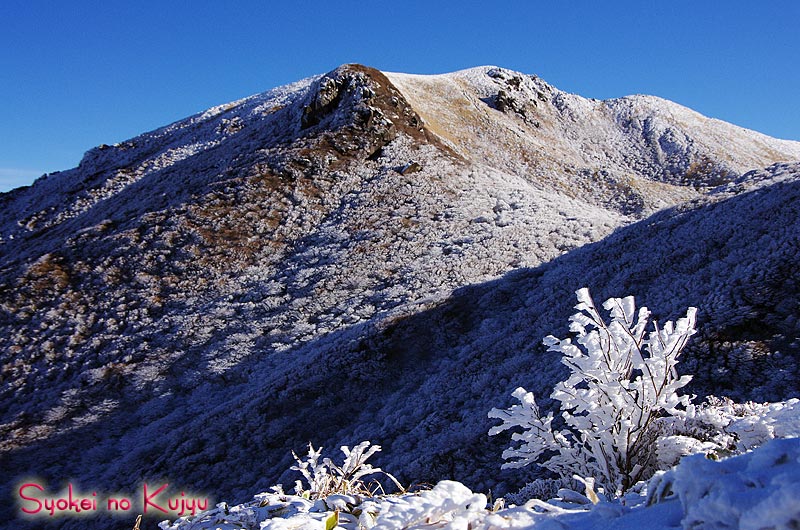 f0173067_129567.jpg