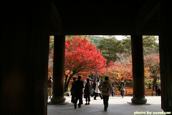 今年の京都の紅葉は、こんなでした~ 『南禅寺』 編・その1_d0030373_10424484.jpg