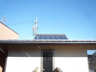 b0140276_112875.jpg