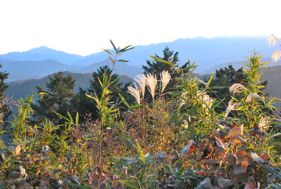 霊山高尾_b0194880_0313816.jpg