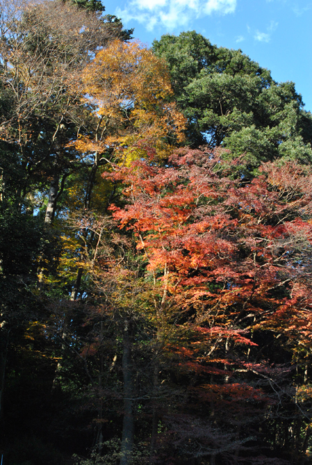 霊山高尾_b0194880_0325647.jpg