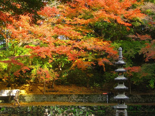 観心寺・延命寺の紅葉_c0229483_18435045.jpg