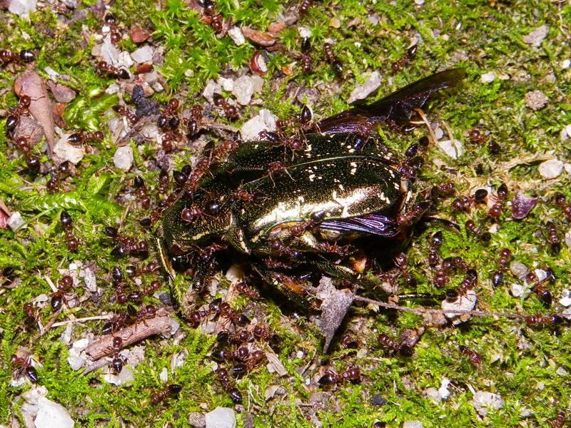 f0204094_16213686.jpg