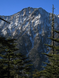 e0111396_11659.jpg