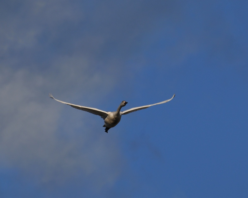 e0103903_2123670.jpg