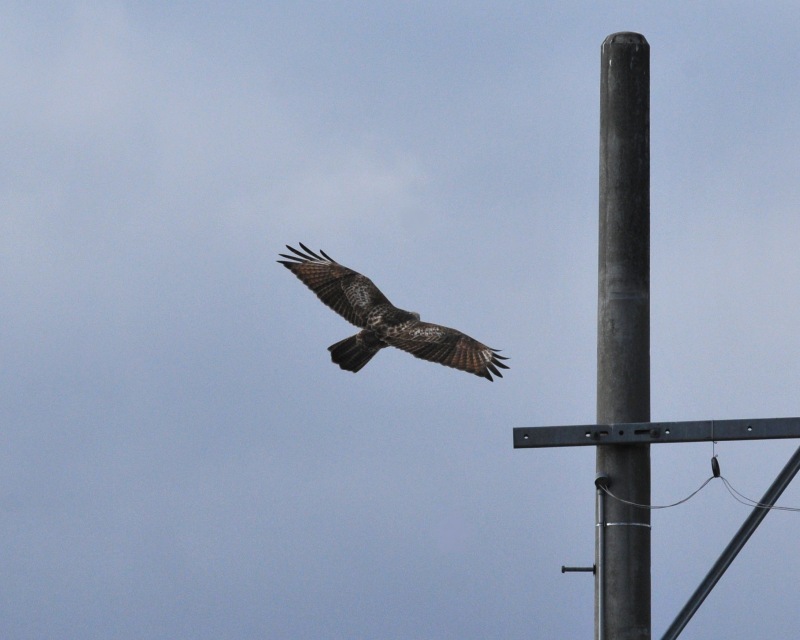 e0103903_2155682.jpg