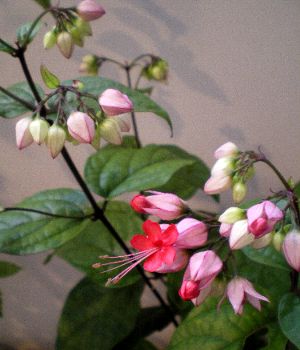 f0206605_15305492.jpg