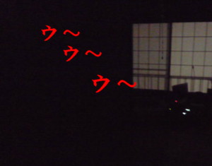 e0131506_1920676.jpg