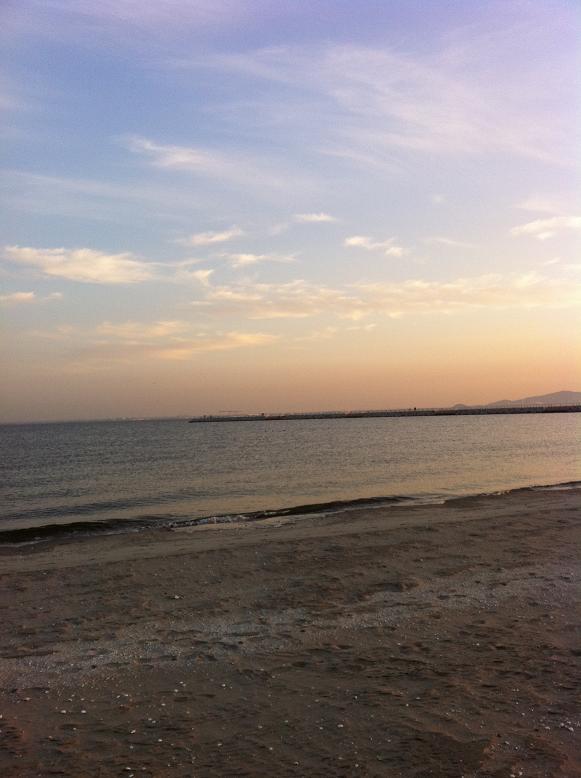 ラグーナ蒲郡 大塚海浜緑地 釣りは自己満足 Do You Make Fishing ラグーナ蒲郡 大塚海浜緑地 釣りは自己満足 Do You Make Fishing